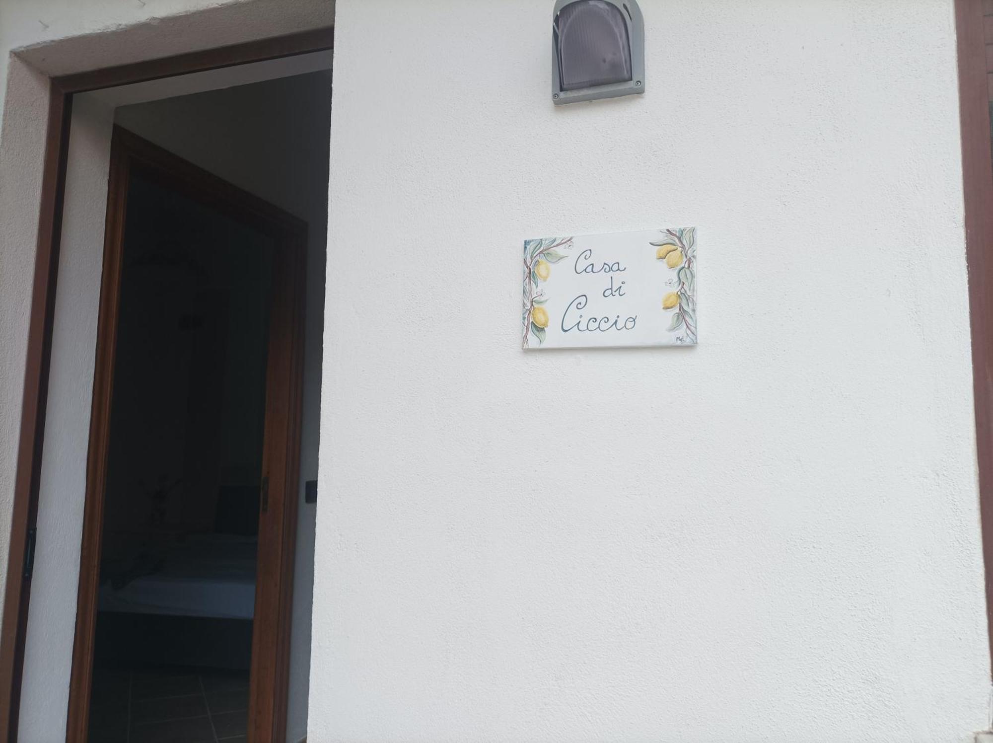 Villa Giardino Degli Oleandri 帕利努罗 外观 照片