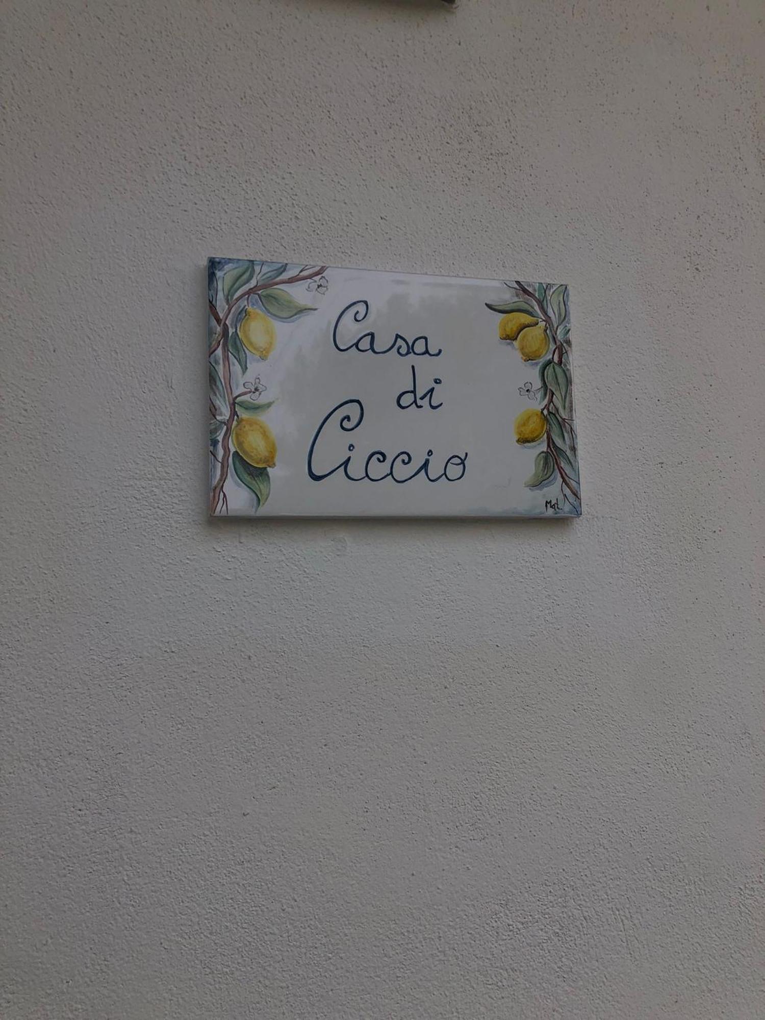 Villa Giardino Degli Oleandri 帕利努罗 外观 照片