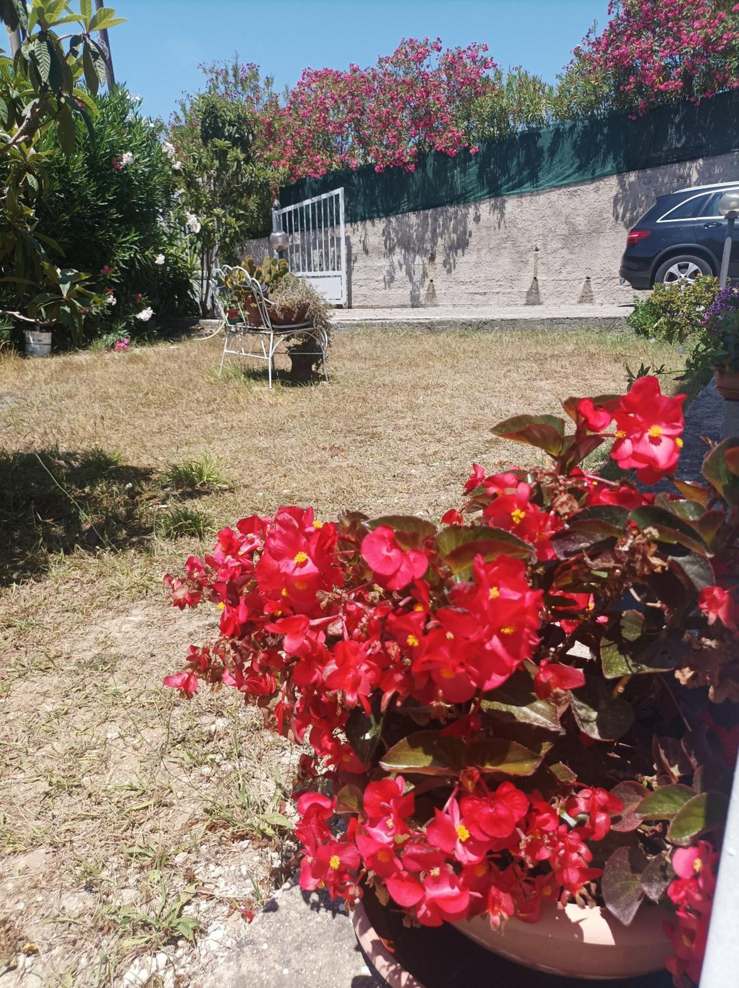 Villa Giardino Degli Oleandri 帕利努罗 外观 照片