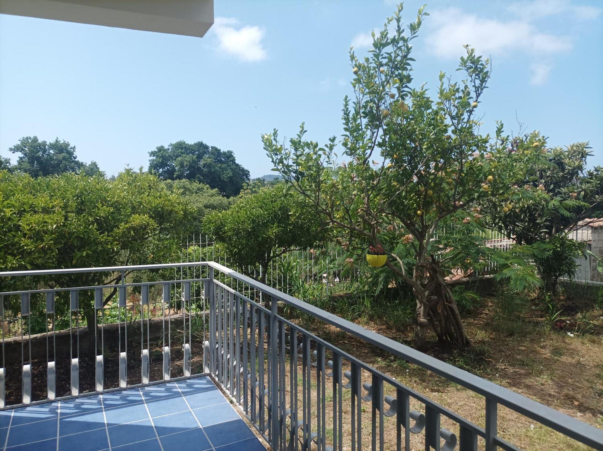 Villa Giardino Degli Oleandri 帕利努罗 外观 照片