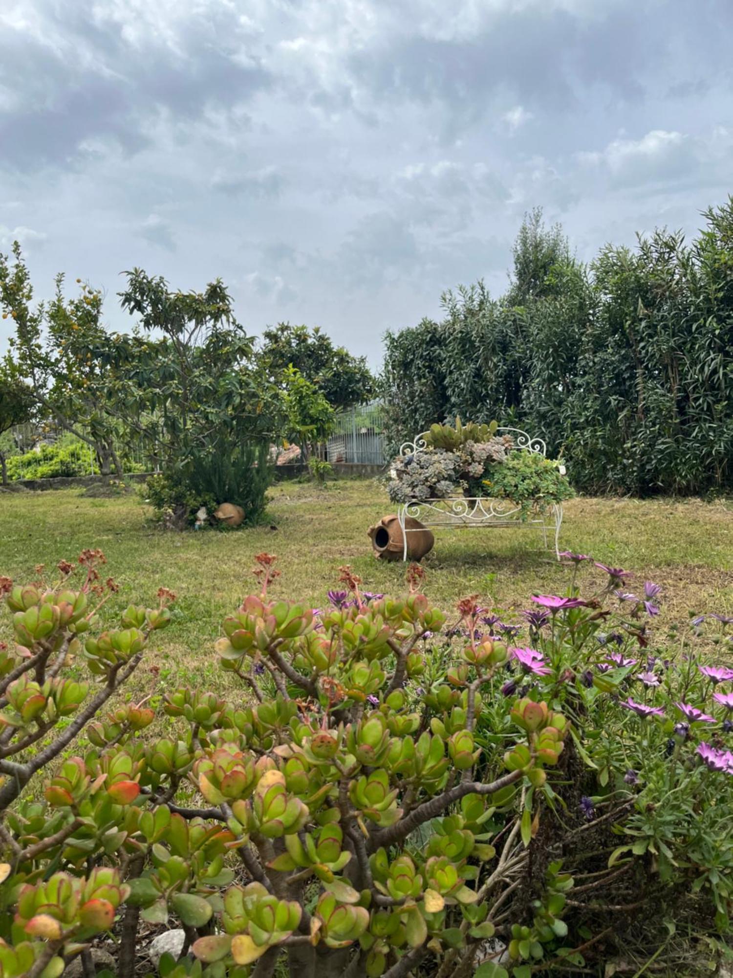 Villa Giardino Degli Oleandri 帕利努罗 外观 照片